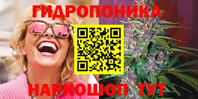 прущие крисы Краснодар