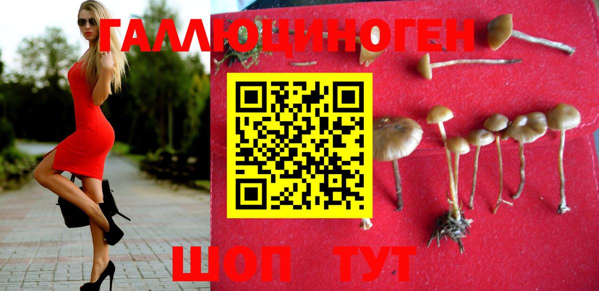 Галлюциногенные грибы Psilocybine cubensis Кимовск