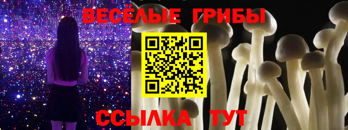 Галлюциногенные грибы ЛСД  где продают   Галлюциногенные грибы GOLDEN TEACHER  Кимовск  Вход с VPN 